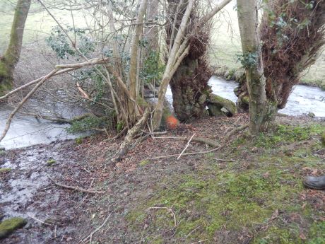 One of our leaky dams