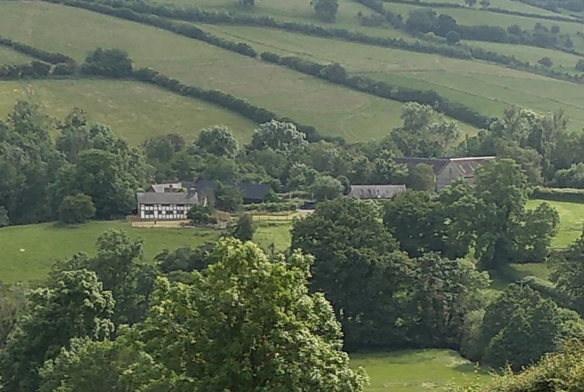 Squire Farm
